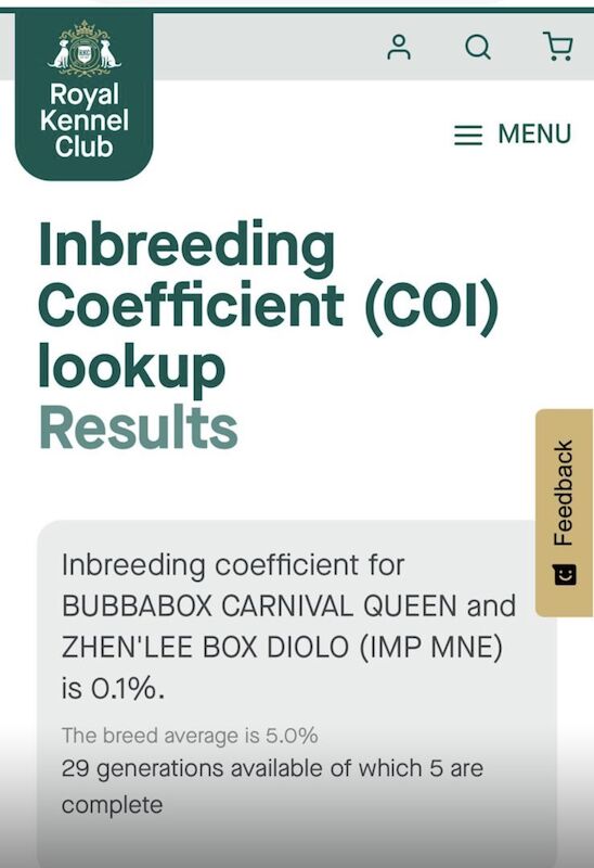 adorable white bobtails - Image 8 of 13