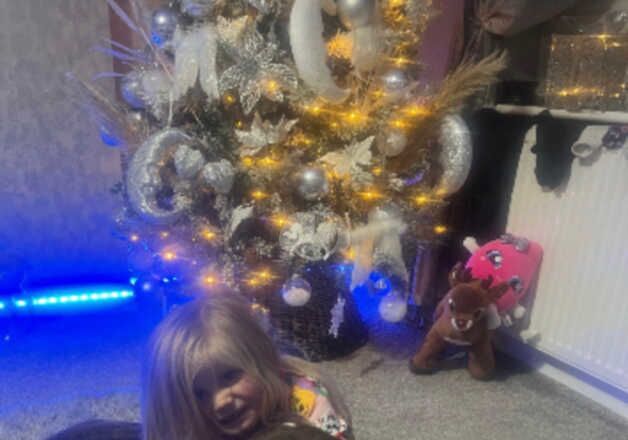 Boxer puppies for sale in Durham, Durham – KC registered, 4 years old - Image 2 of 4