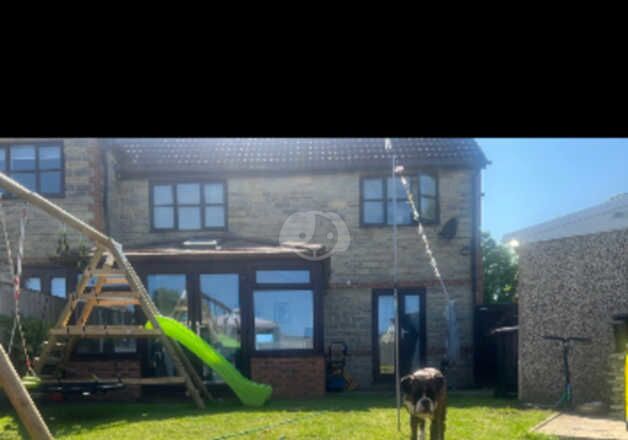 Boxer puppies for sale in Durham, Durham – KC registered, 4 years old - Image 3 of 4